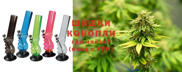 твердый Вяземский