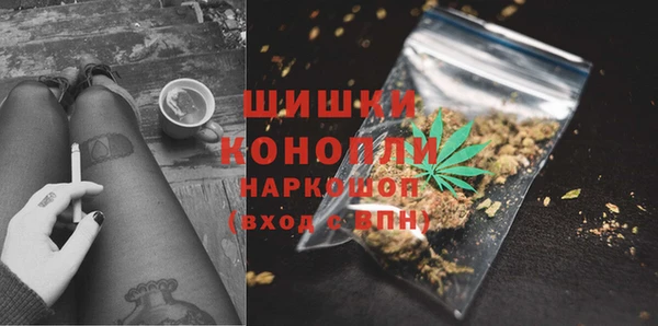 стафф Вязьма