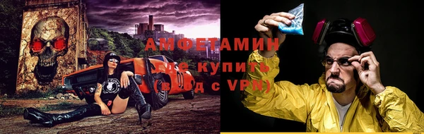твердый Вяземский