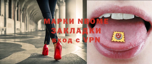 стафф Вязьма