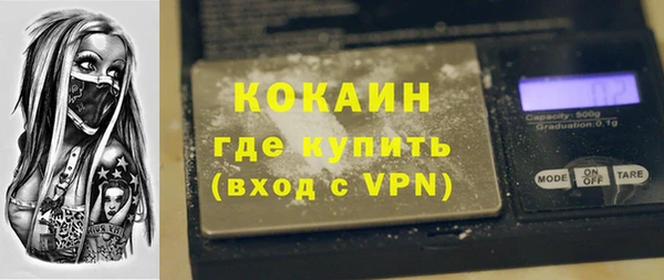 твердый Вяземский